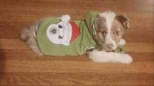 FB_IMG_1423854194133