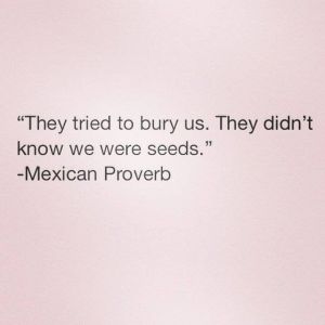 1c0ff2a3d37c72958dec77dcd2cce1d4