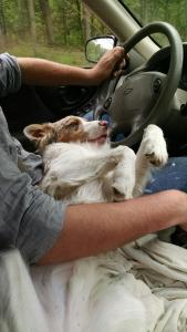 IMG_20150524_151715715