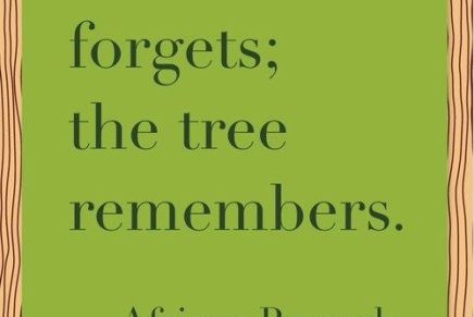 The Tree Remembers (Don’t be the&nbsp;axe)