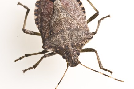 HAS THE NIGHTMARE COME TO AN&nbsp;END?!